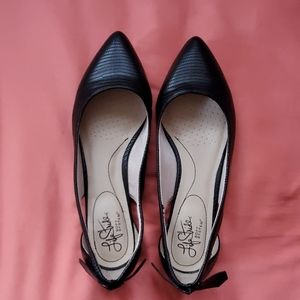 Black Flats